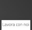 Lavora con noi